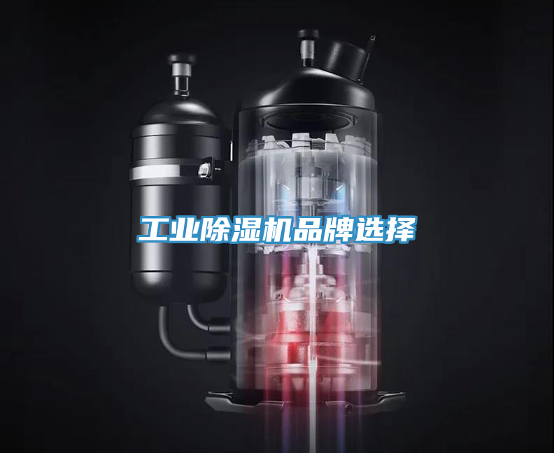 亚洲欧美一级特黄大片 工业除湿机品牌选择