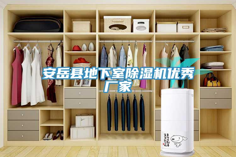 亚洲人成综合第一网站 安岳县地下室除湿机优秀厂家