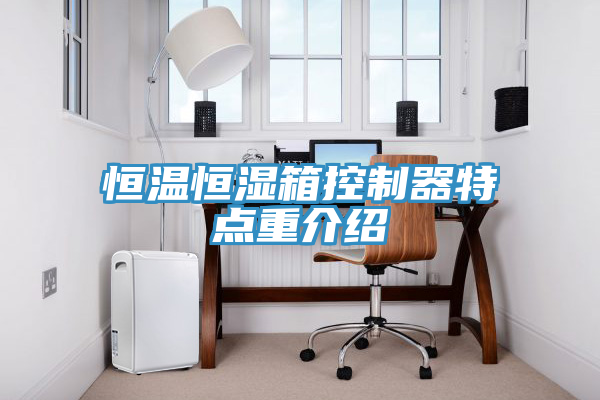 亚洲人成综合第一网站 恒温恒湿箱控制器特点重介绍