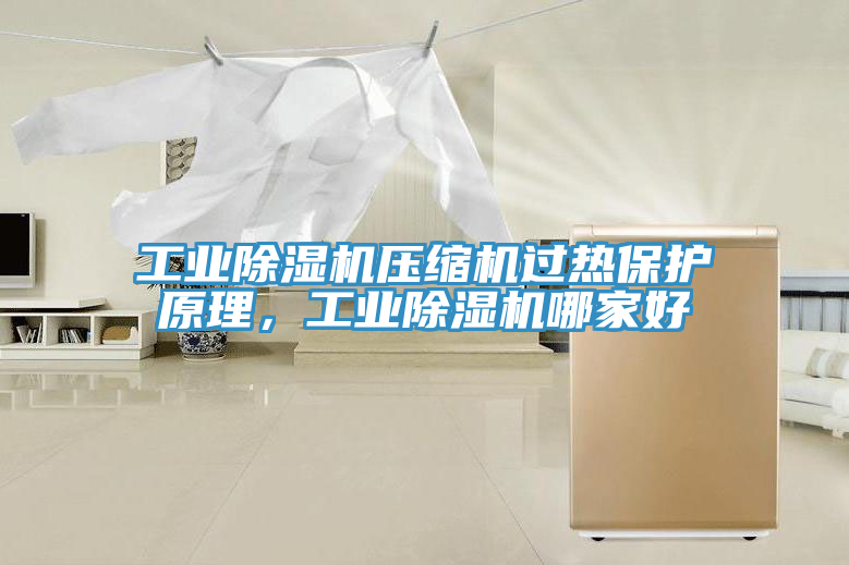 亚洲乱码一区二区三区 工业除湿机压缩机过热保护原理，工业除湿机哪家好