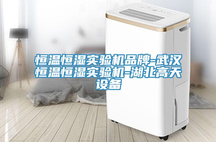 亚洲人成综合第一网站 恒温恒湿实验机品牌-武汉恒温恒湿实验机-湖北高天设备