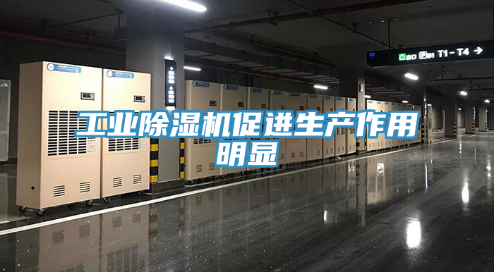 亚洲人成综合第一网站 工业除湿机促进生产作用明显
