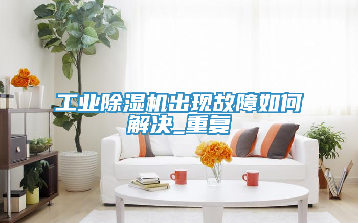 亚洲欧美一级特黄大片 工业除湿机出现故障如何解决_重复