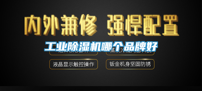 亚洲乱码一区二区三区 工业除湿机哪个品牌好