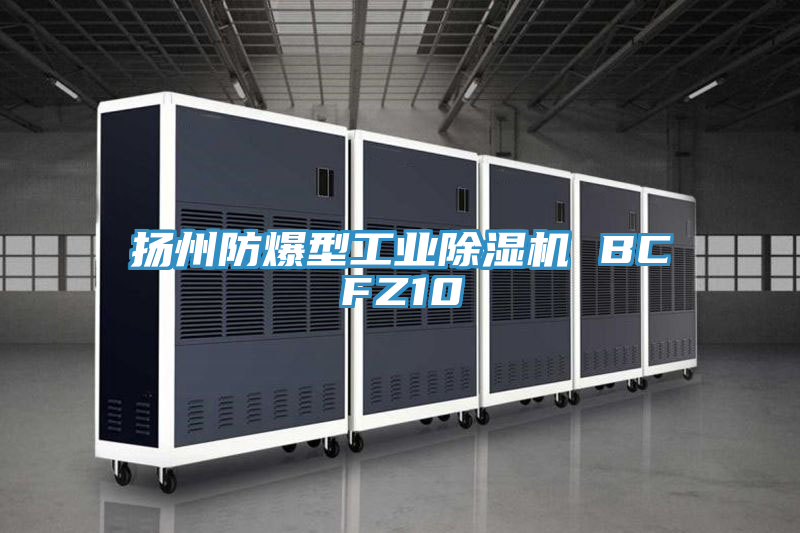 亚洲乱码一区二区三区 扬州防爆型工业除湿机 BCFZ10