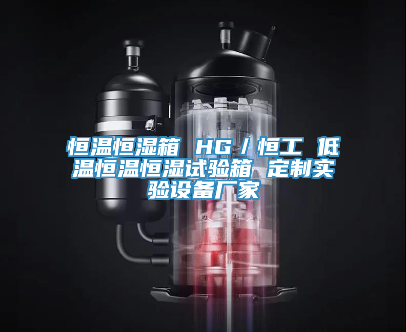 亚洲乱码一区二区三区 恒温恒湿箱 HG／恒工 低温恒温恒湿试验箱 定制实验设备厂家