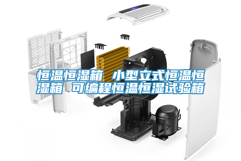亚洲人成综合第一网站 恒温恒湿箱 小型立式恒温恒湿箱 可编程恒温恒湿试验箱
