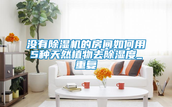 亚洲乱码一区二区三区 没有除湿机的房间如何用5种天然植物去除湿度_重复
