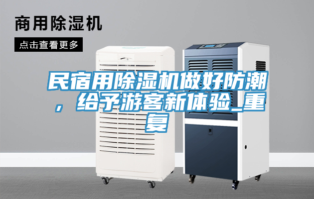 亚洲人成综合第一网站 民宿用除湿机做好防潮，给予游客新体验_重复