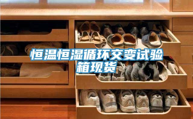 亚洲欧美一级特黄大片 恒温恒湿循环交变试验箱现货