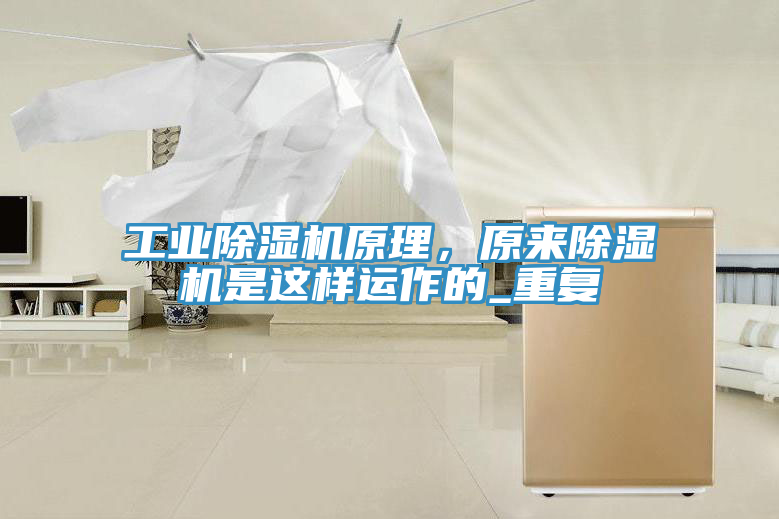 亚洲乱码一区二区三区 工业除湿机原理，原来除湿机是这样运作的_重复