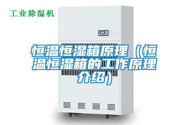 亚洲人成综合第一网站 恒温恒湿箱原理（恒温恒湿箱的工作原理介绍）