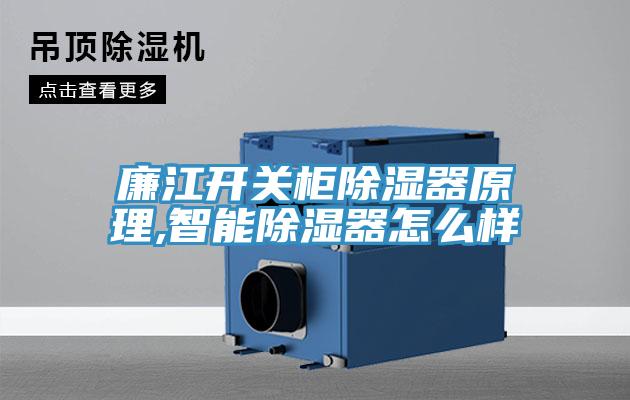 亚洲欧美一级特黄大片 廉江开关柜除湿器原理,智能除湿器怎么样