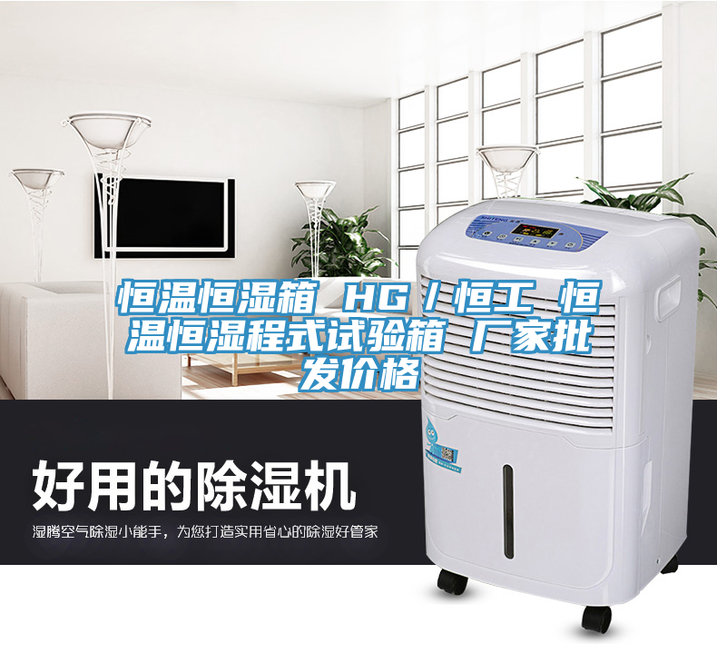 亚洲乱码一区二区三区 恒温恒湿箱 HG／恒工 恒温恒湿程式试验箱 厂家批发价格
