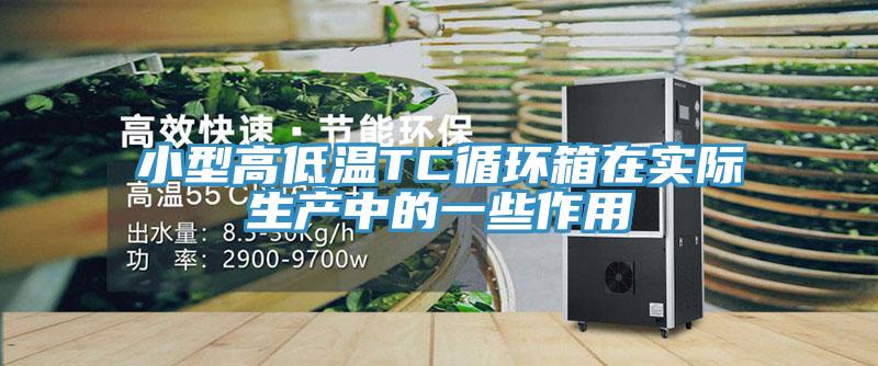 亚洲人成综合第一网站 小型高低温TC循环箱在实际生产中的一些作用