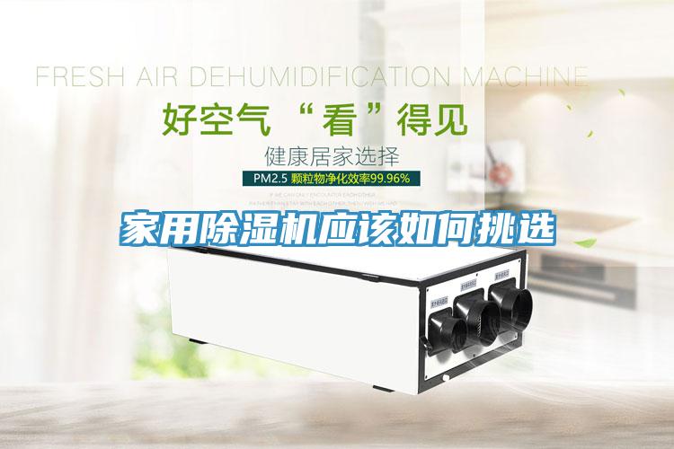 亚洲欧美一级特黄大片 家用除湿机应该如何挑选