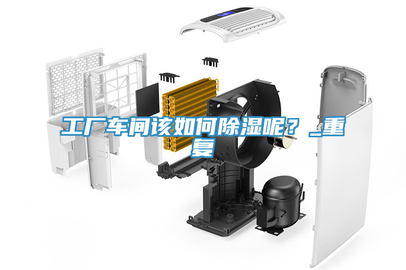 亚洲人成综合第一网站 工厂车间该如何除湿呢？_重复