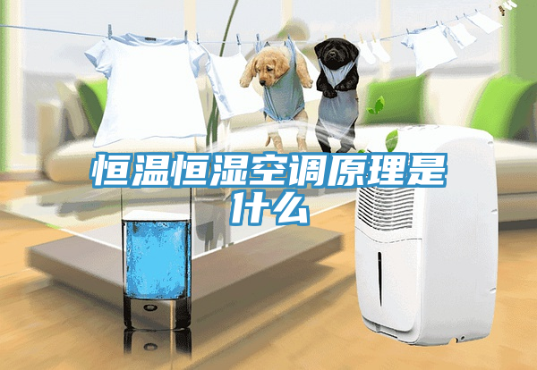 亚洲欧美一级特黄大片 恒温恒湿空调原理是什么