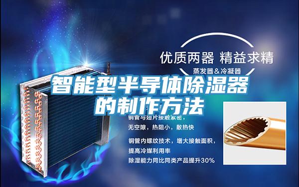 亚洲人成综合第一网站 智能型半导体除湿器的制作方法