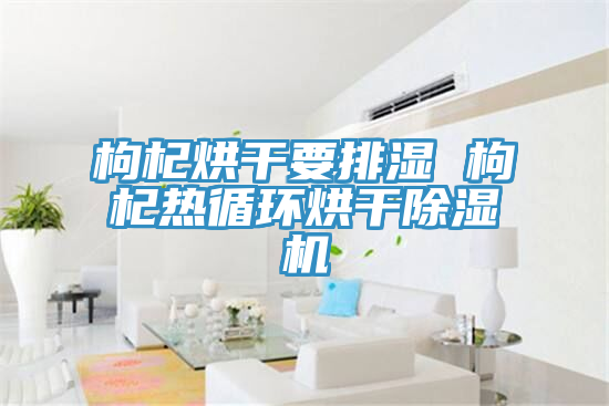 亚洲乱码一区二区三区 枸杞烘干要排湿 枸杞热循环烘干除湿机