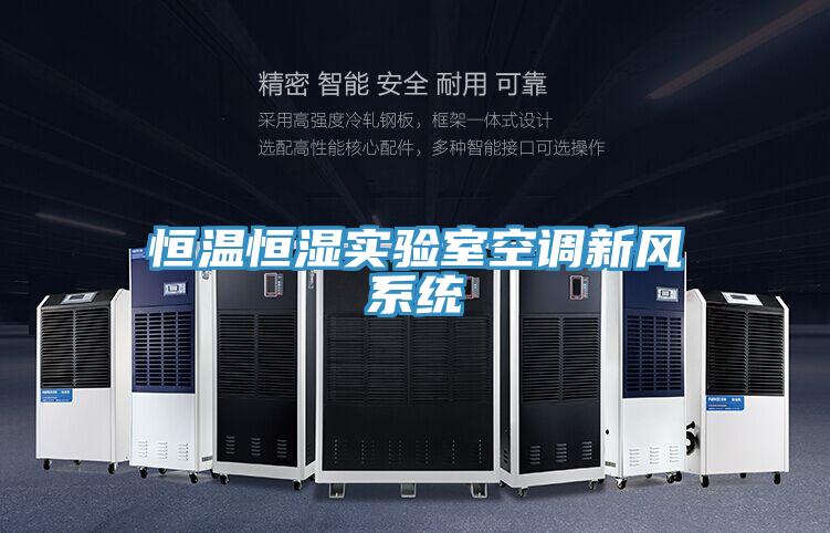 亚洲人成综合第一网站 恒温恒湿实验室空调新风系统