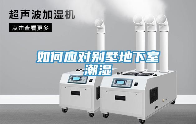 亚洲乱码一区二区三区 如何应对别墅地下室潮湿
