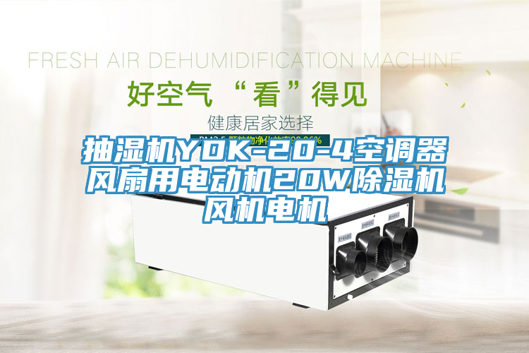亚洲乱码一区二区三区 抽湿机YDK-20-4空调器风扇用电动机20W除湿机风机电机