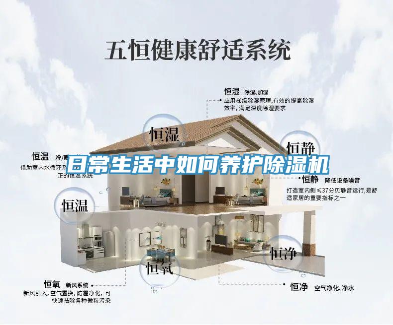 亚洲欧美一级特黄大片 日常生活中如何养护除湿机