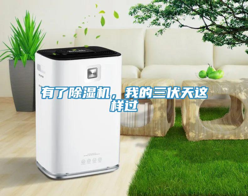 亚洲人成综合第一网站 有了除湿机，我的三伏天这样过