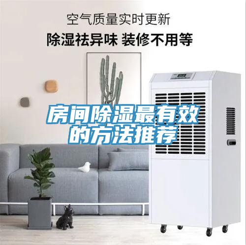亚洲人成综合第一网站 房间除湿最有效的方法推荐