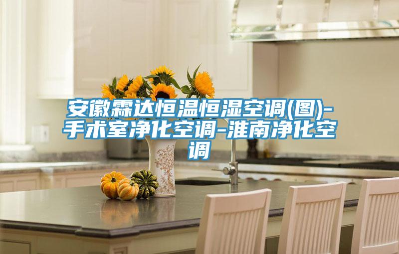 亚洲人成综合第一网站 安徽霖达恒温恒湿空调(图)-手术室净化空调-淮南净化空调