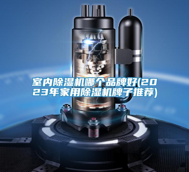 亚洲人成综合第一网站 室内除湿机哪个品牌好(2023年家用除湿机牌子推荐)