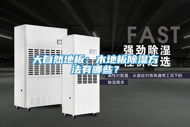 亚洲乱码一区二区三区 大自然地板：木地板除湿方法有哪些？