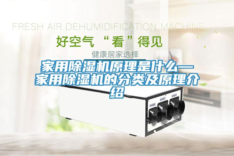 亚洲欧美一级特黄大片 家用除湿机原理是什么—家用除湿机的分类及原理介绍