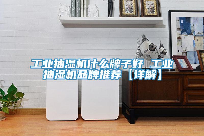 亚洲乱码一区二区三区 工业抽湿机什么牌子好 工业抽湿机品牌推荐【详解】