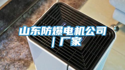 亚洲欧美一级特黄大片 山东防爆电机公司｜厂家