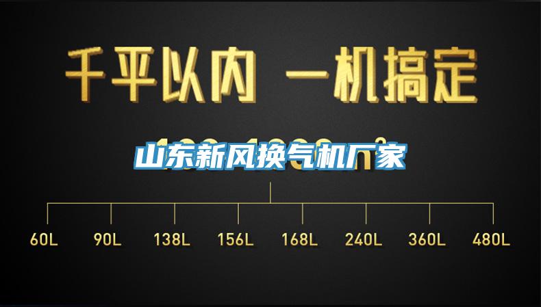 亚洲人成综合第一网站 山东新风换气机厂家