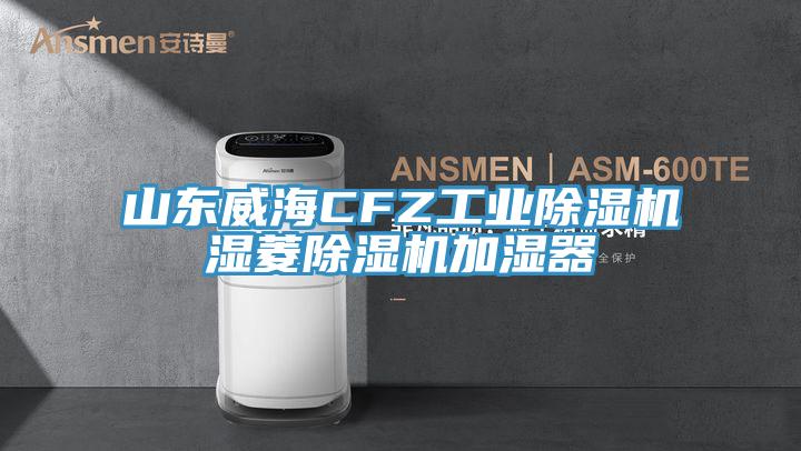 亚洲欧美一级特黄大片 山东威海CFZ工业除湿机湿菱除湿机加湿器