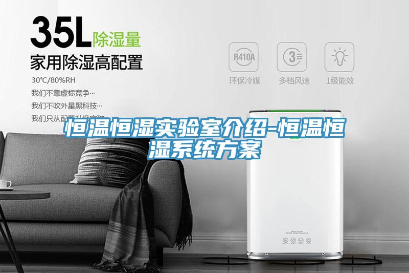 亚洲人成综合第一网站 恒温恒湿实验室介绍-恒温恒湿系统方案
