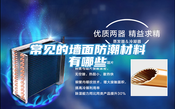 亚洲乱码一区二区三区 常见的墙面防潮材料有哪些