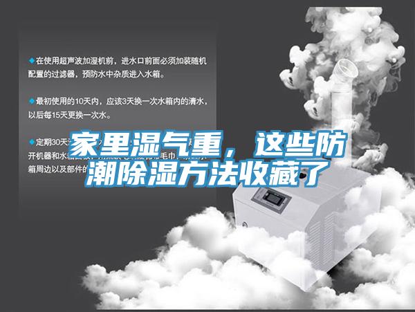 亚洲人成综合第一网站 家里湿气重，这些防潮除湿方法收藏了