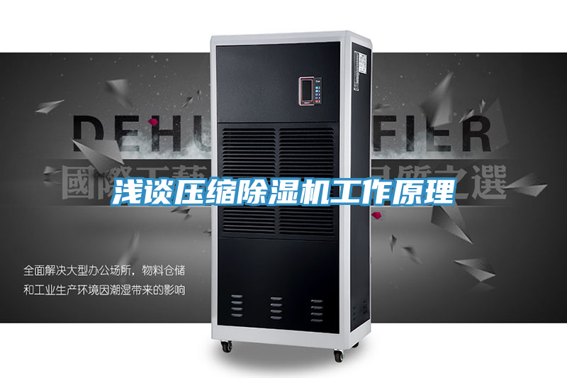 亚洲人成综合第一网站 浅谈压缩除湿机工作原理
