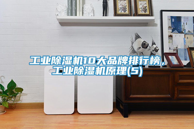 亚洲乱码一区二区三区 工业除湿机10大品牌排行榜，工业除湿机原理(5)