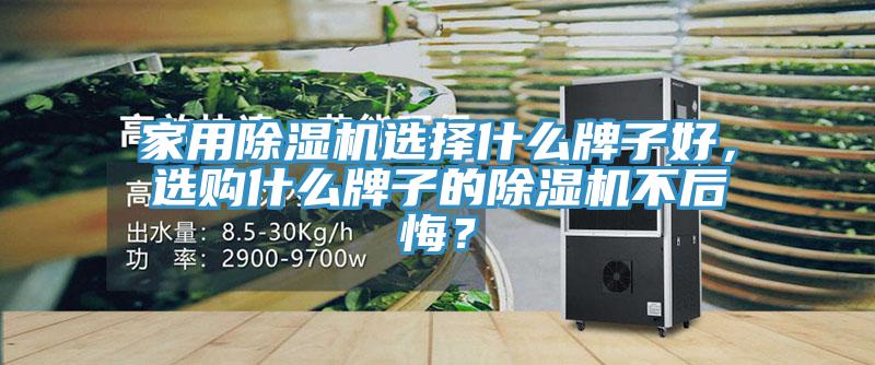 亚洲人成综合第一网站 家用除湿机选择什么牌子好，选购什么牌子的除湿机不后悔？