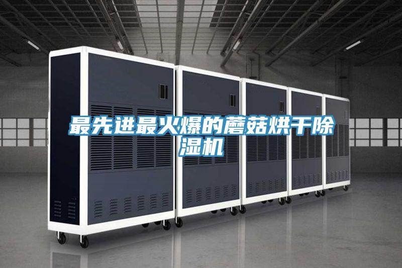 亚洲乱码一区二区三区 最先进最火爆的蘑菇烘干除湿机