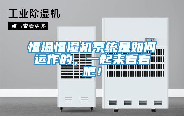 亚洲欧美一级特黄大片 恒温恒湿机系统是如何运作的，一起来看看吧！