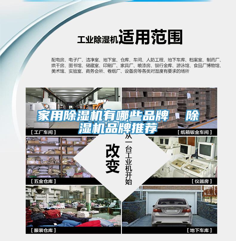 亚洲欧美一级特黄大片 家用除湿机有哪些品牌  除湿机品牌推荐