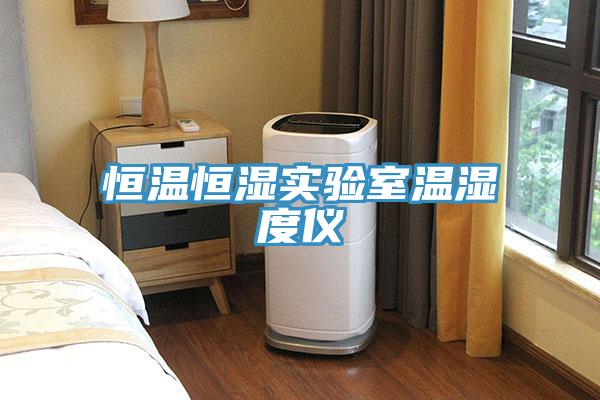 亚洲欧美一级特黄大片 恒温恒湿实验室温湿度仪