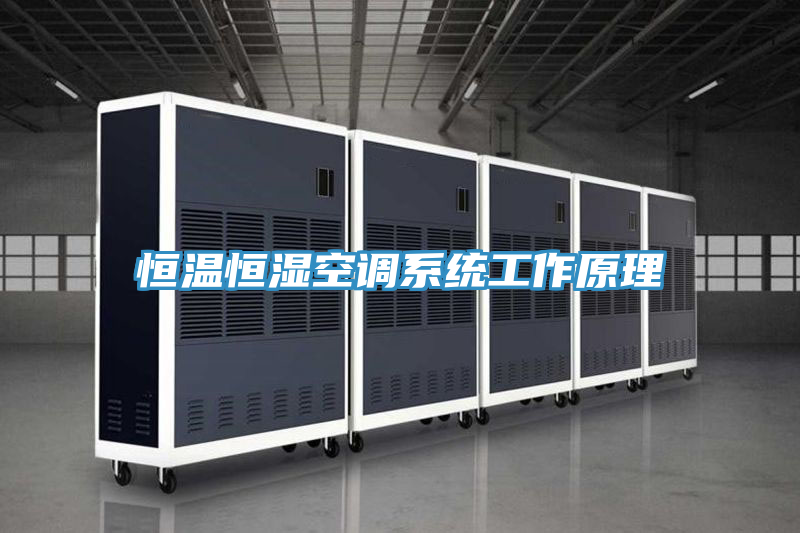 亚洲欧美一级特黄大片 恒温恒湿空调系统工作原理