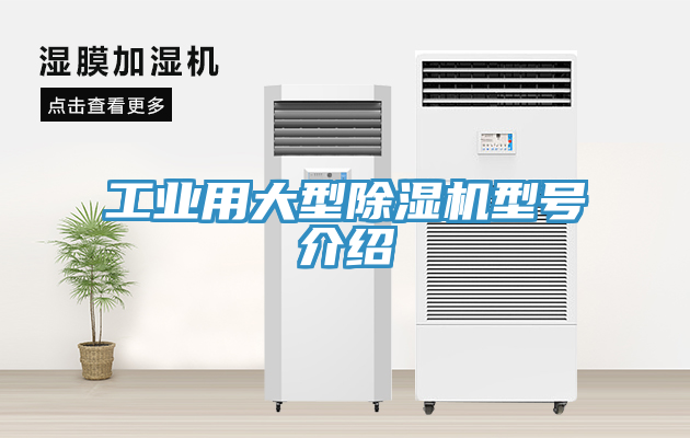 亚洲欧美一级特黄大片 工业用大型除湿机型号介绍